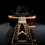 pexels-whollman-11569590